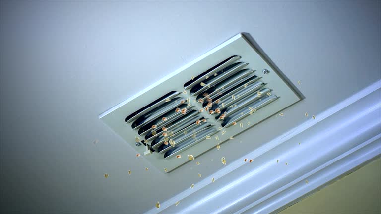 Best Dryer Vent Cleaning Services  in Linden, AL