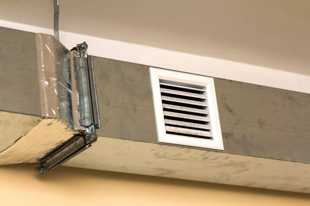 Best Dryer Vent Cleaning Services  in Linden, AL